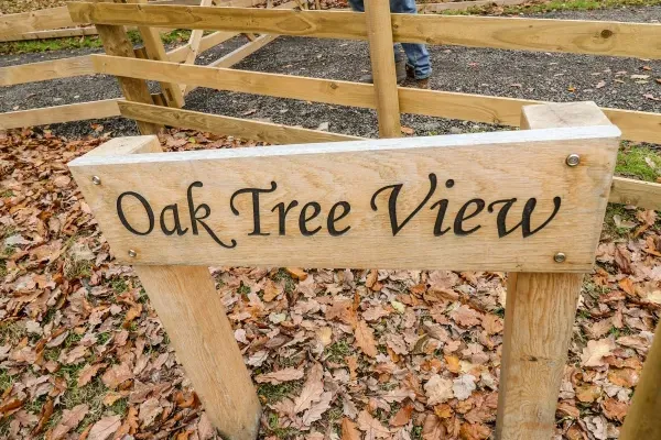 Oak Tree View 15