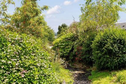 4 Meadow Retreat 29