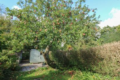 Apple Tree Cottage 24