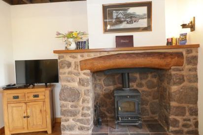 Ash Wooden Lodge 6
