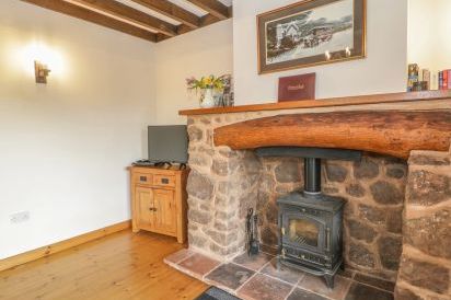 Ash Wooden Lodge 8