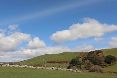 Awelfryn 52
