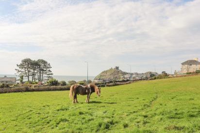 Awelfryn 57