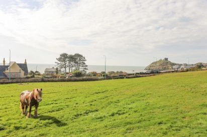 Awelfryn 58