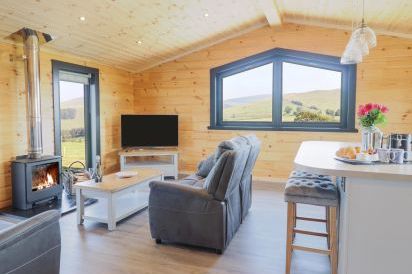Bacheiddon Log Cabin 9