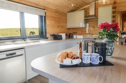 Bacheiddon Log Cabin 14