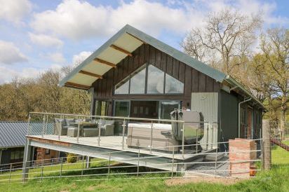 Barcud Coch - Red Kite 38