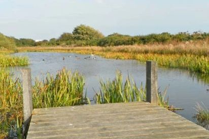 Bay Dream Pet-Friendly Cottage, North York Moors & Coast  20