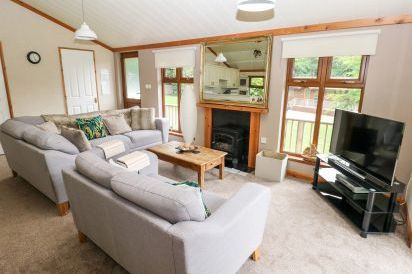 Beeches Holiday Lodge, Wales 5