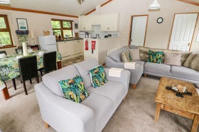 Beeches Holiday Lodge, Wales 6