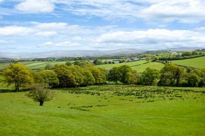 Black Mountain View 13