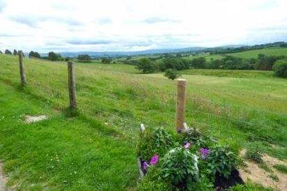 Black Mountain View 15