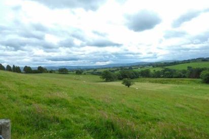 Black Mountain View 16