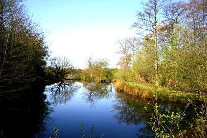 Tranquil Lakes are found within the Grounds