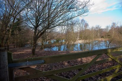 Blackdown Cottage 24