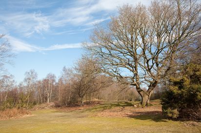 Blackdown Cottage 21