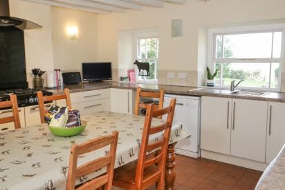 Bryn Dedwydd Farmhouse 7