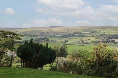 Bryn Dedwydd Farmhouse 32