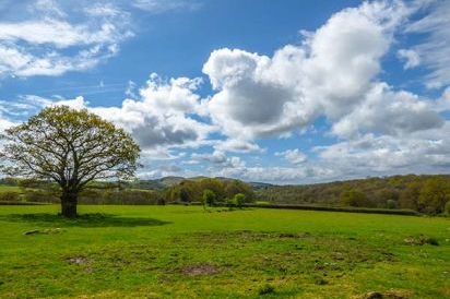 Brynhir Farm 18
