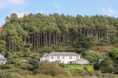 Brynmorwydd