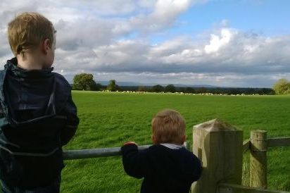 Fun in the Countryside