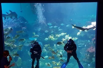 Blue Planet Aquarium