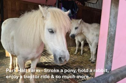 Buttercups & Hayloft Sleeps & Dines 16 with Pool, Sports Court & Play Area 31