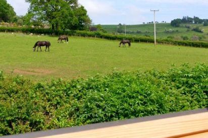 Caecrwn Pet-Friendly Holiday Cottage, South Wales  14