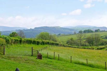 Caecrwn Pet-Friendly Holiday Cottage, South Wales  18