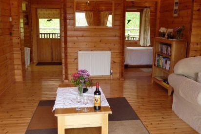 Pine lodge with hot tub in Wales