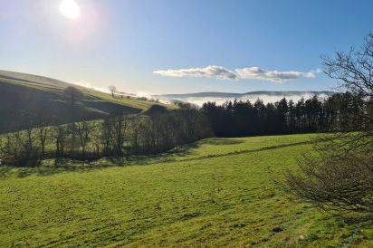 Cefnsuran farm