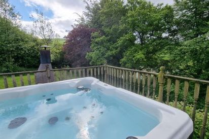 Cefn-nant Luxury Lodge in Mid Wales 1