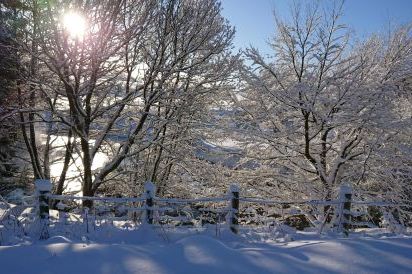 Cefn-nant Luxury Lodge in Mid Wales 25