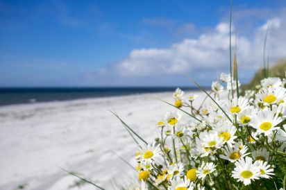 Clachan Sands Cottage 42