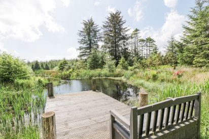 Corrafeckloch Forest Cottages 25