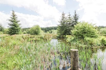 Corrafeckloch Forest Cottages 27