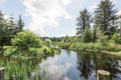Corrafeckloch Forest Cottages 28