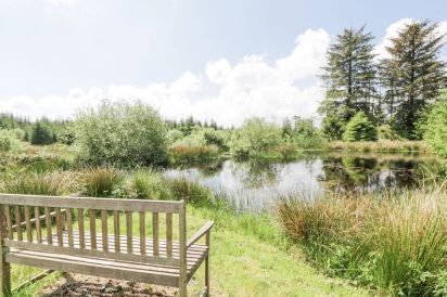 Corrafeckloch Forest Cottages 30