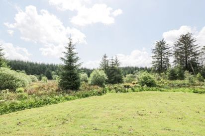 Corrafeckloch Forest Cottages 37