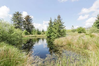 Corrafeckloch Forest Cottages 38