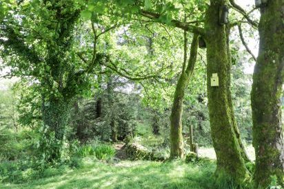 Corrafeckloch Forest Cottages 40
