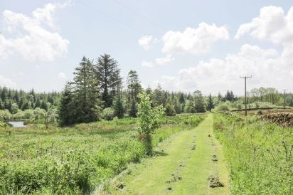 Corrafeckloch Forest Cottages 41