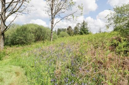 Corrafeckloch Forest Cottages 45