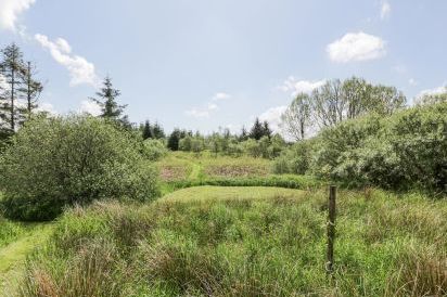 Corrafeckloch Forest Cottages 49