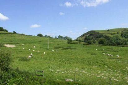 Cwmgilla Farm 23