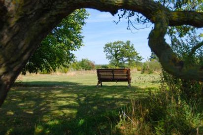 your own private orchard and dog exercise area