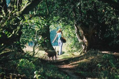 lovely local walks and Medieval villages all around