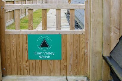Elan Valley Welsh - The Sheepfold 2