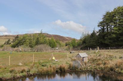 Falls Cottage 32