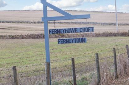 Ferneytoun 33
